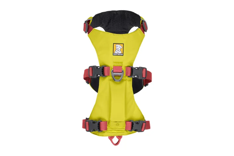 Ruffwear Flagline Dog Harness in Lichen Green-8
